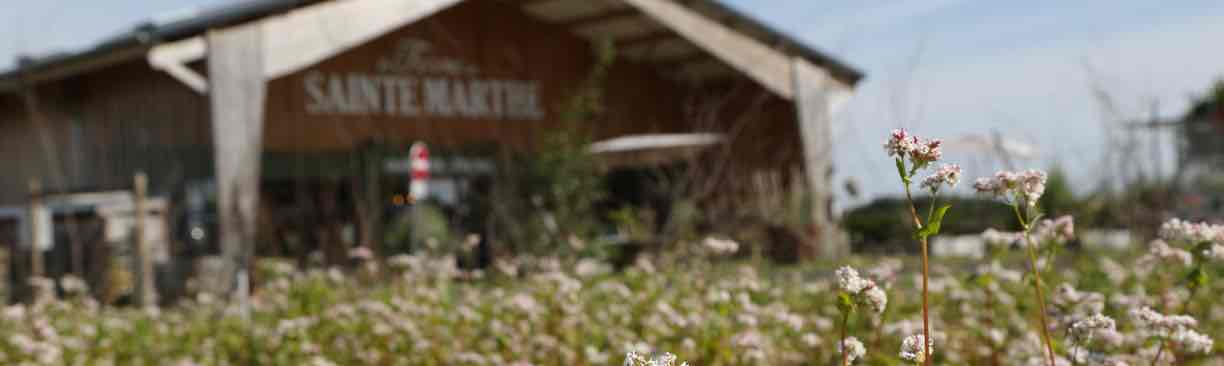 Découvrir la Ferme de Sainte Marthe