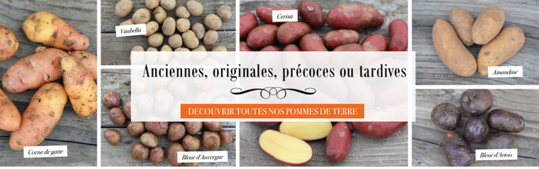 Les pommes de terre sont disponibles