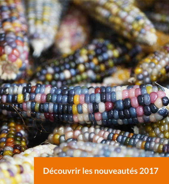 Nouveautés 2017