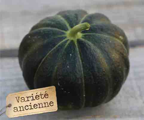 Melon noire des carmes