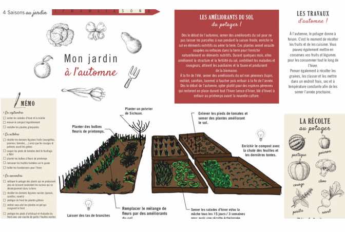 Télécharger l'afichette : mon potager à l'automne