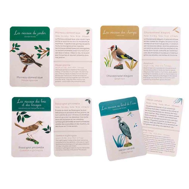 COFFRET DECOUVERTE OISEAUX 