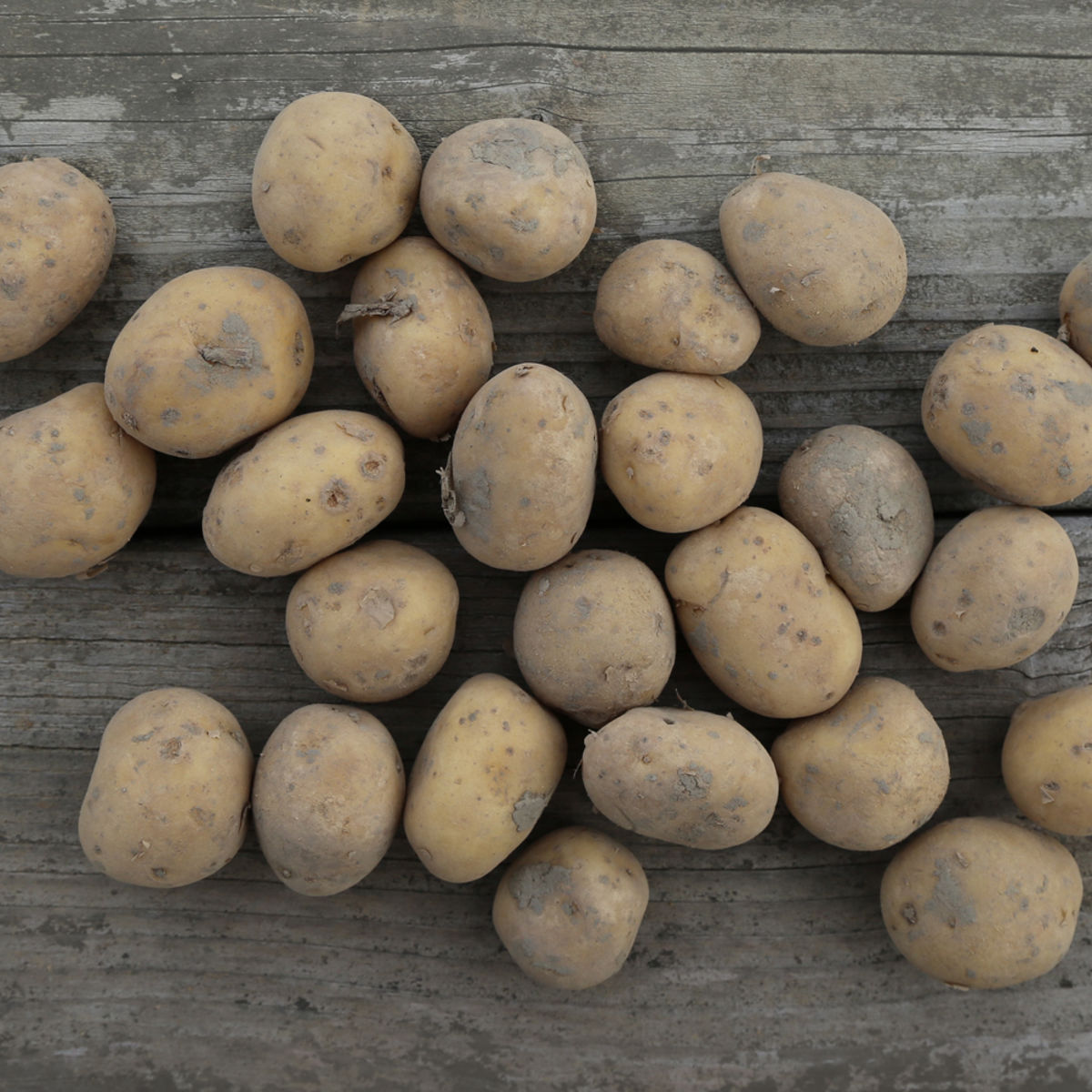 Les variétés de pommes de terre : du jardin à la cuisine