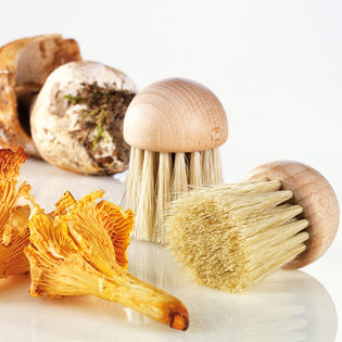 Brosse à champignons – Accessoires durables pour la maison