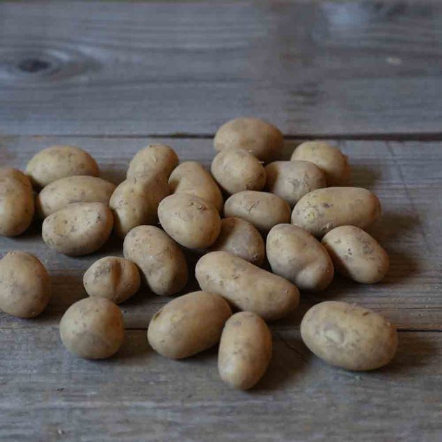 POMME DE TERRE LEVANTE AB    