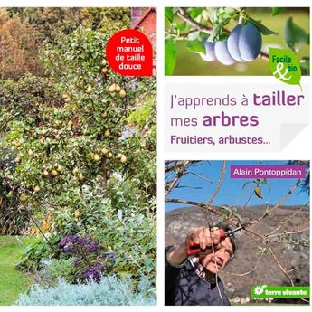 J’APPRENDS À TAILLER MES ARBRES - FRUITIERS, ARBUSTES…