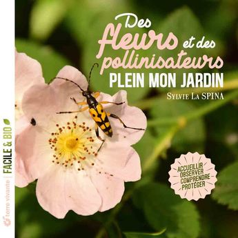 DES FLEURS ET DES POLLINISATEURS PLEIN MON JARDIN 