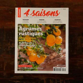 MAGAZINE 4 SAISONS - n257 AGRUMES RUSTIQUES