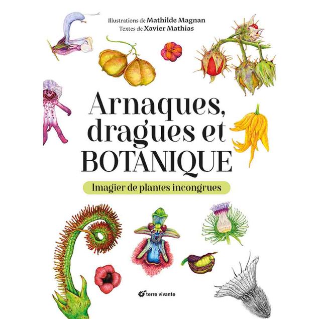 ARNAQUES, DRAGUES ET BOTANIQUE