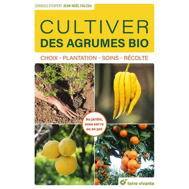 CULTIVER DES AGRUMES BIO 