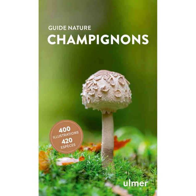 CHAMPIGNONS