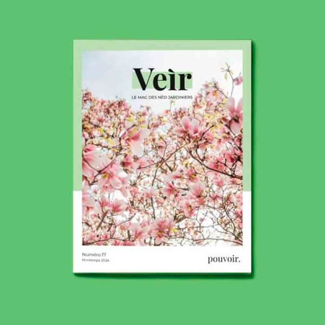 VEIR MAGAZINE -  n°17 Pouvoir