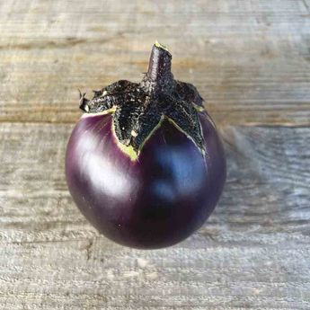 AUBERGINE RONDE DE VALENCE AB