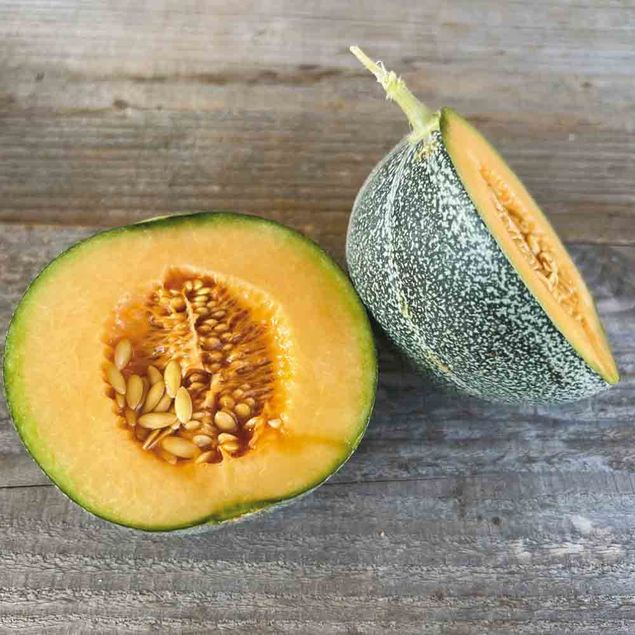 MELON PETIT GRIS DE RENNES AB