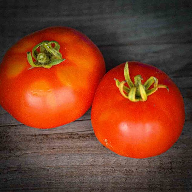 TOMATE MARMANDE AB