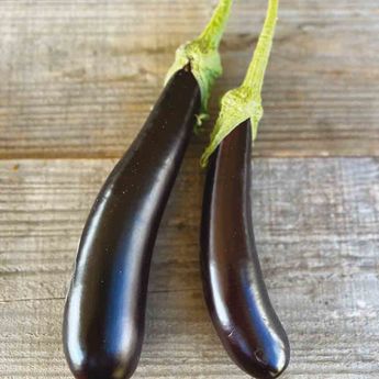 AUBERGINE DE BARBENTANE AB