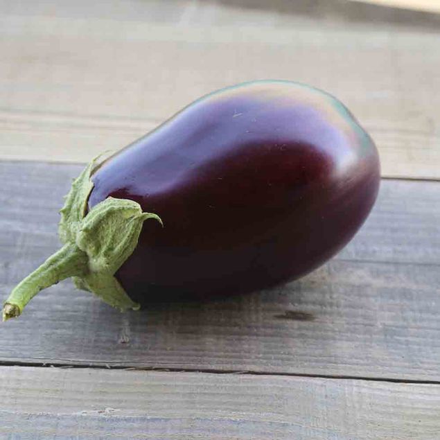 AUBERGINE MONSTRUEUSE DE NEW YORK AB