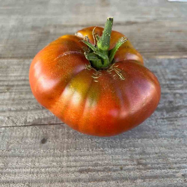 TOMATE BLACK FROM TULA AB