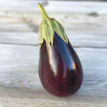 AUBERGINE BLACK BEAUTY AB