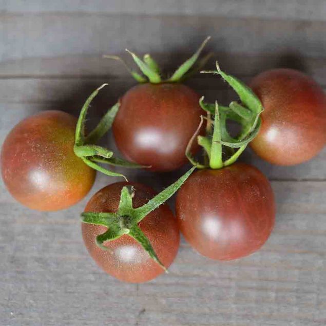 TOMATE BLACK CHERRY AB