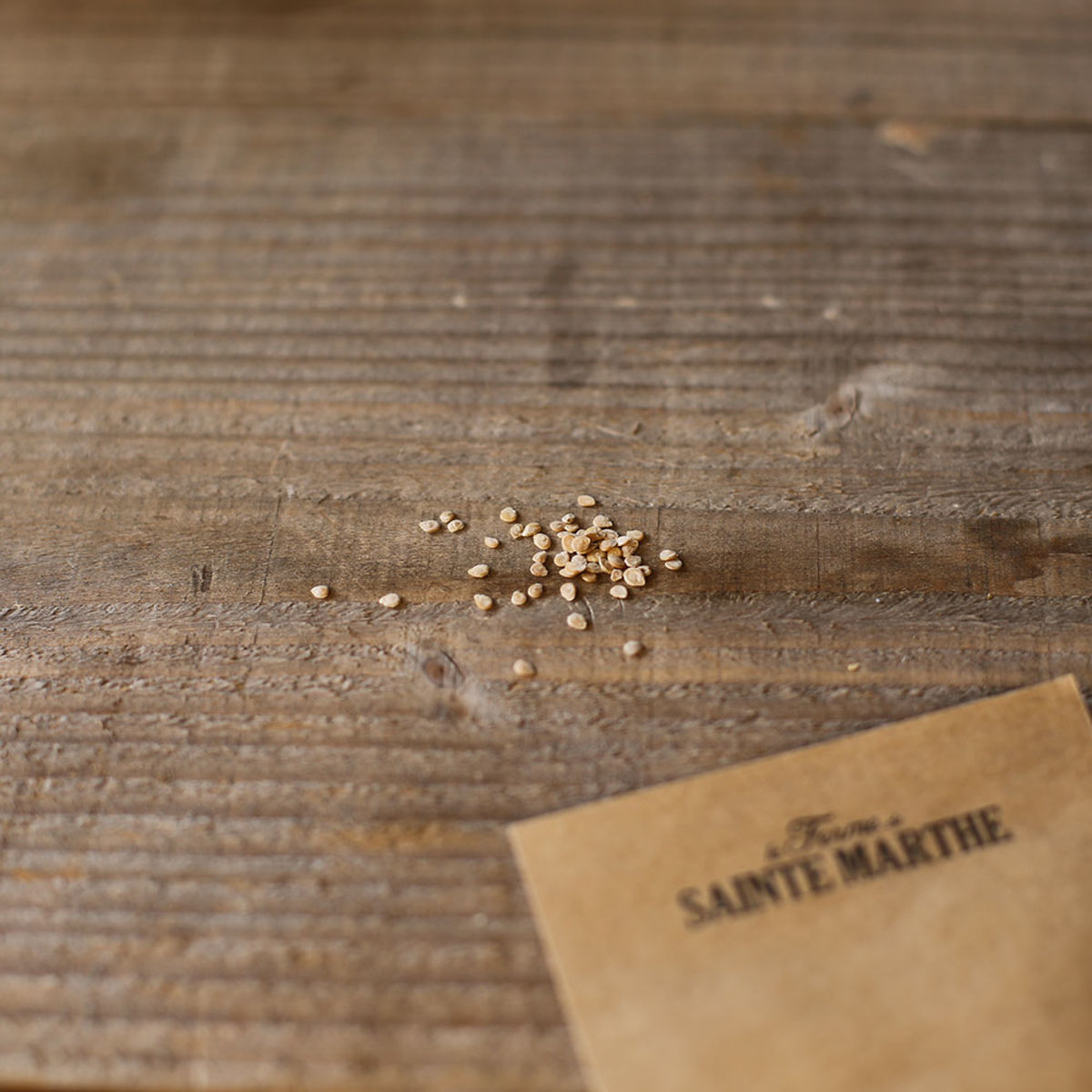 Vermiculite - Graines Baumaux