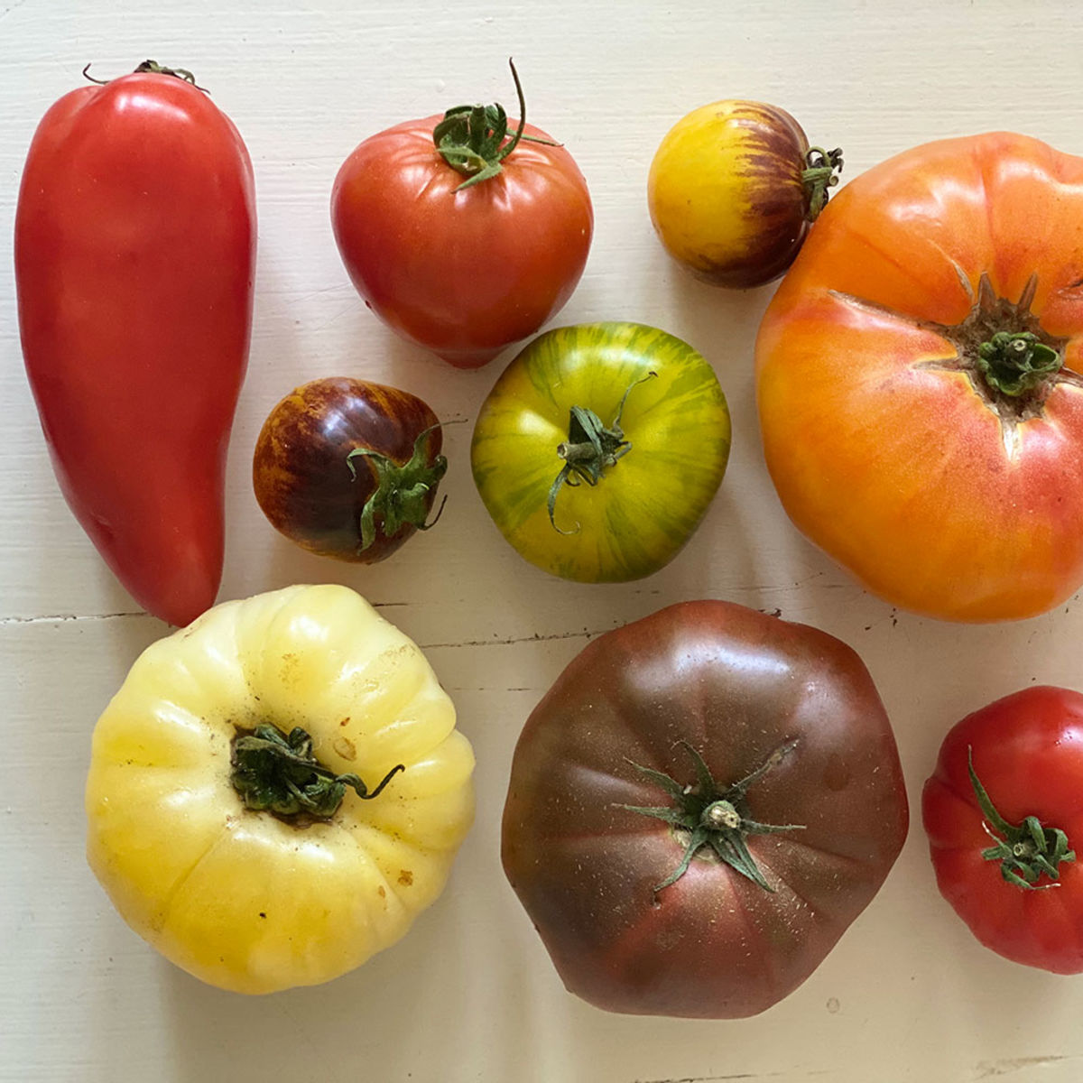 Tomates cerise : choix de variétés, conseils de culture et de taille