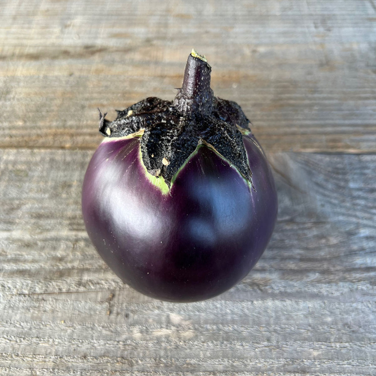https://www.fermedesaintemarthe.com/Image/38309/1200x1200/aubergine-ronde-de-valence-ab.jpg