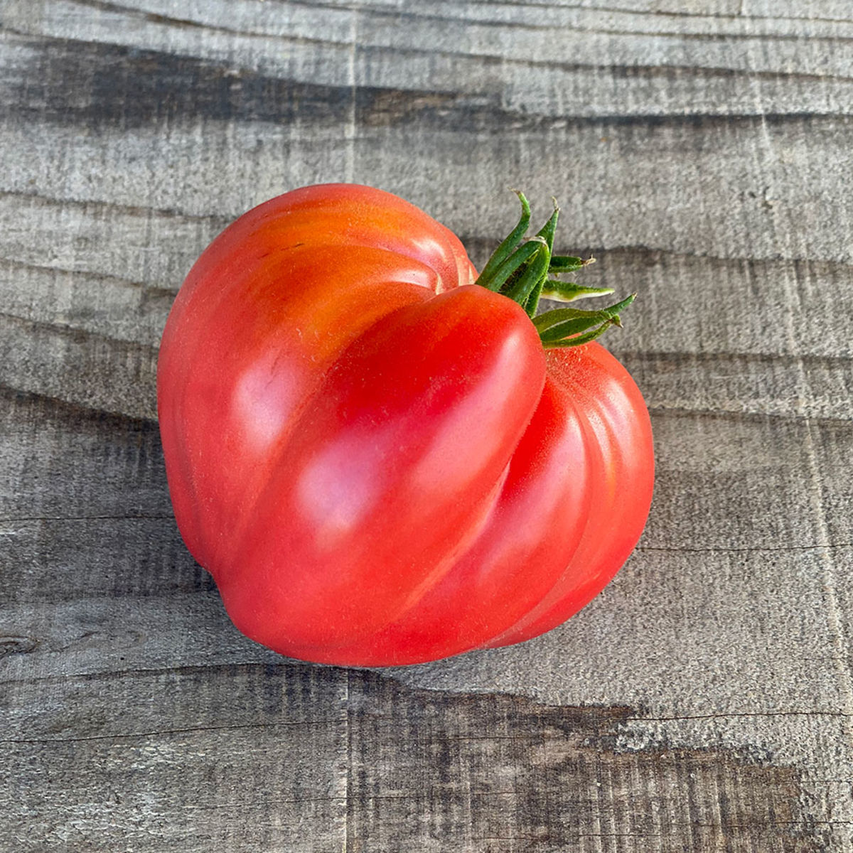 Acheter Tomate Coeur de Boeuf? Commander des graines sur
