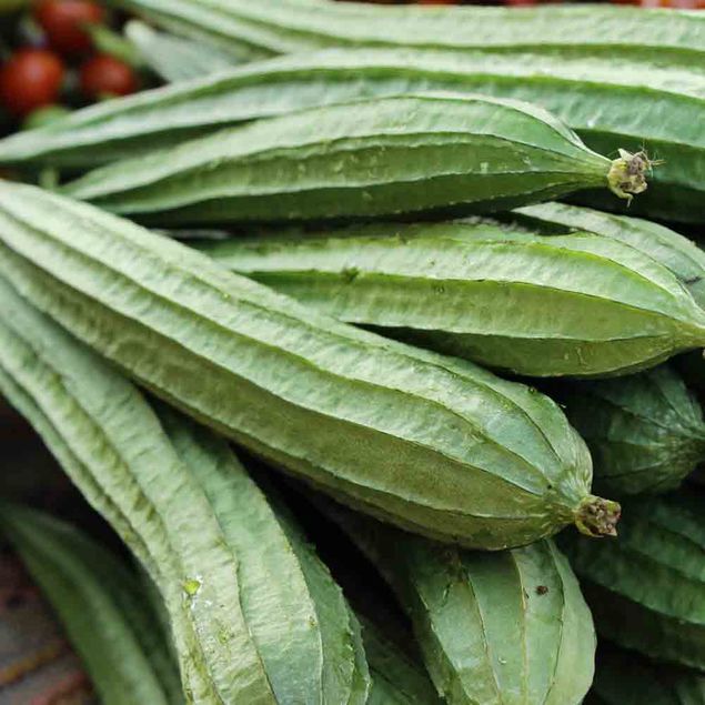 COURGE LUFFA COMESTIBLE HUADIANSIGUA AB