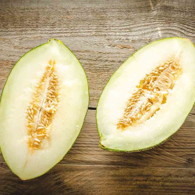 MELON VERT D´ESPAGNE PINONET OU PIEL DE SAPO AB