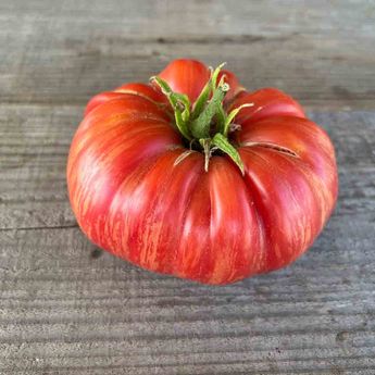 TOMATE PINK JAZZ AB