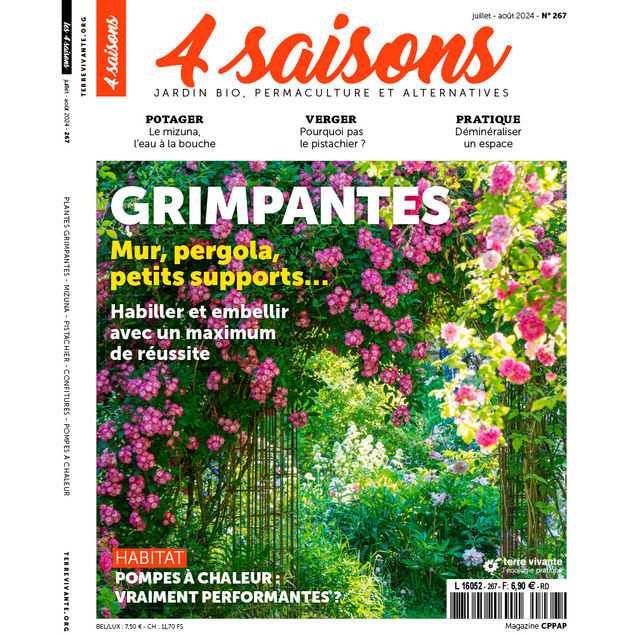 MAGAZINE 4 SAISONS - n267 GRIMPANTES - Mur, pergola, petits supports... Habiller et embellir