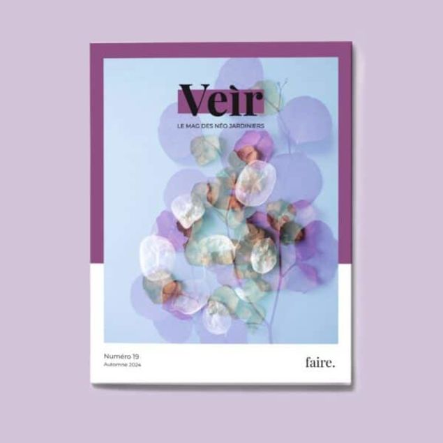 VEIR MAGAZINE -  n°19 Faire