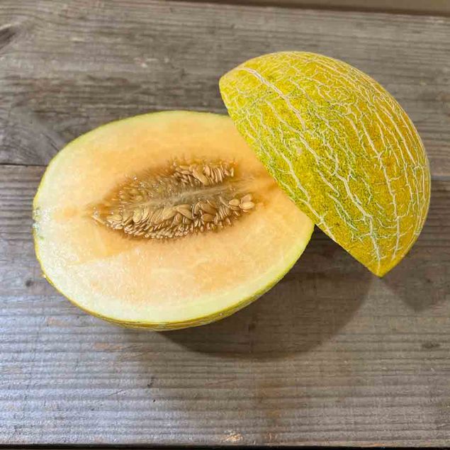 MELON DE CAVAILLON ESPAGNOL A CHAIR ROSE AB