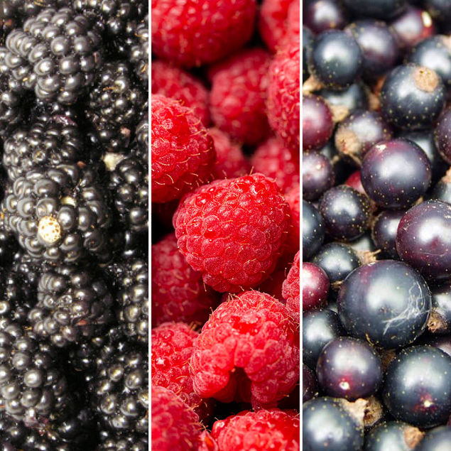 SELECTION SPÉCIALE CONFITURE DE 3 FRUITS ROUGES