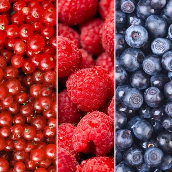 SELECTION SPÉCIALE DESSERT DE 3 FRUITS ROUGES