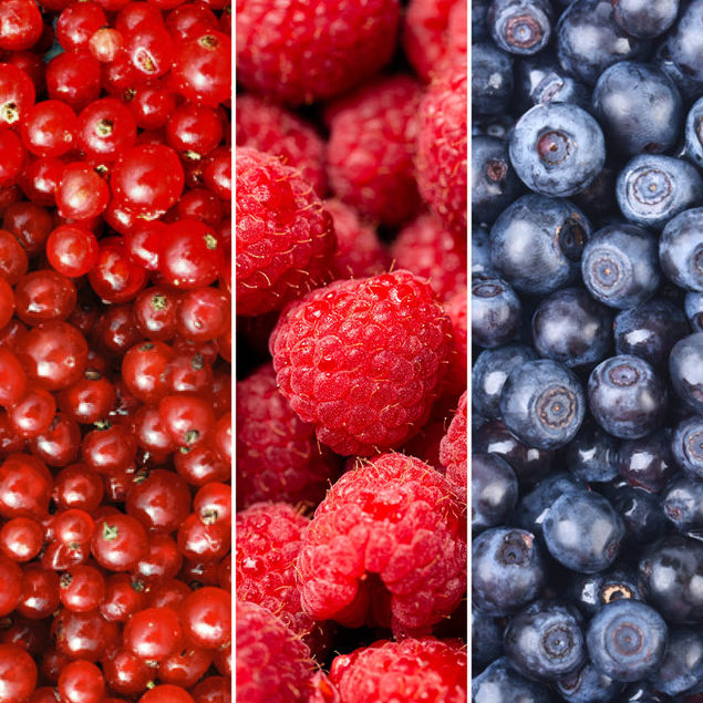 SELECTION SPÉCIALE DESSERT DE 3 FRUITS ROUGES