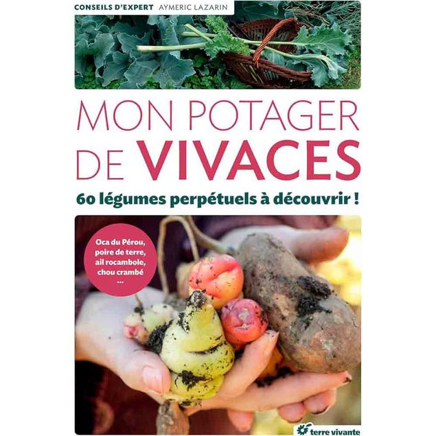 MON POTAGER DE VIVACES - 60 LÉGUMES PERPÉTUELS À DÉCOUVRIR !