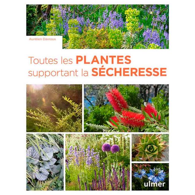 TOUTES LES PLANTES SUPPORTANT LA SECHERESSE AU SOLEIL ET A L´OMBRE