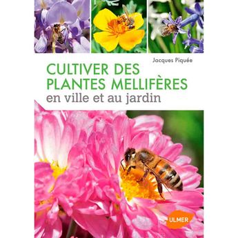 CULTIVER DES PLANTES MELLIFERES EN VILLE ET AU JARDIN