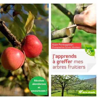 J´APPRENDS A GREFFER MES ARBRES FRUITIERS