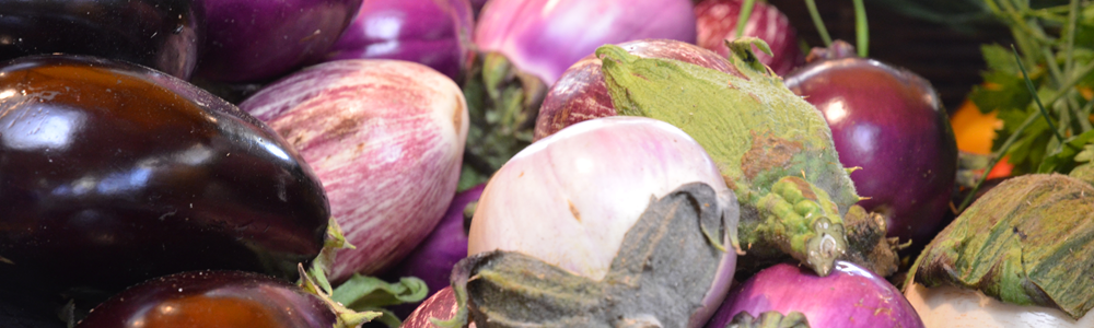 Différentes variétés des aubergines