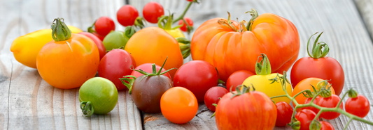 Différentes variétés de tomates