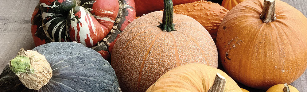 Différentes variétés de courges