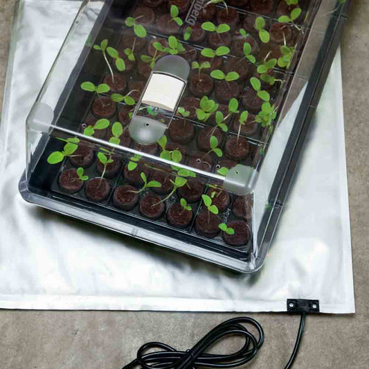 MINI-GREENHOUSE WITH VENTILATION + HEATING BLANKET