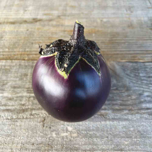 AUBERGINE RONDE DE VALENCE AB