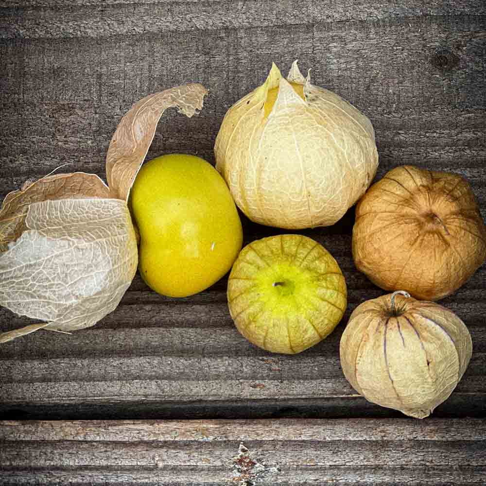 TOMATILLO FROM MEXICO AB