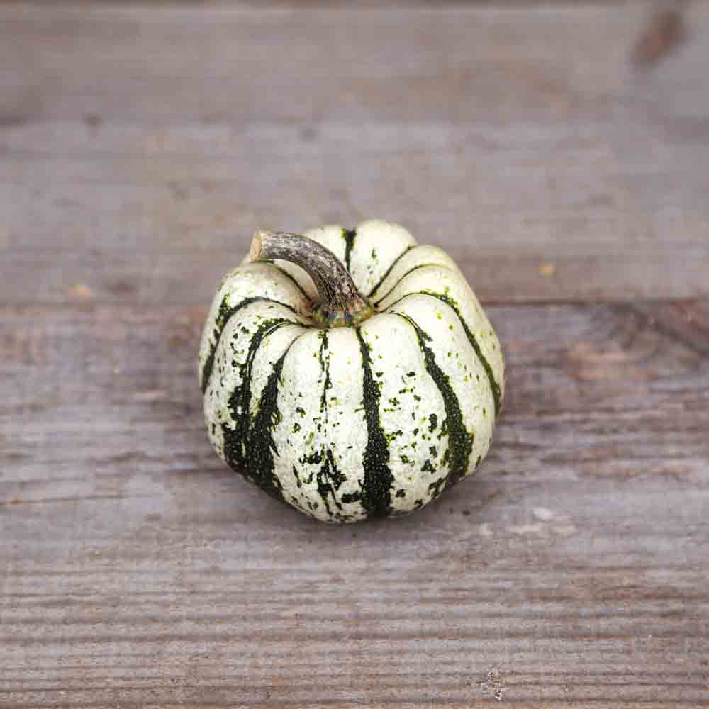 SWEET DUMPLING SQUASH (PATIDOU) AB