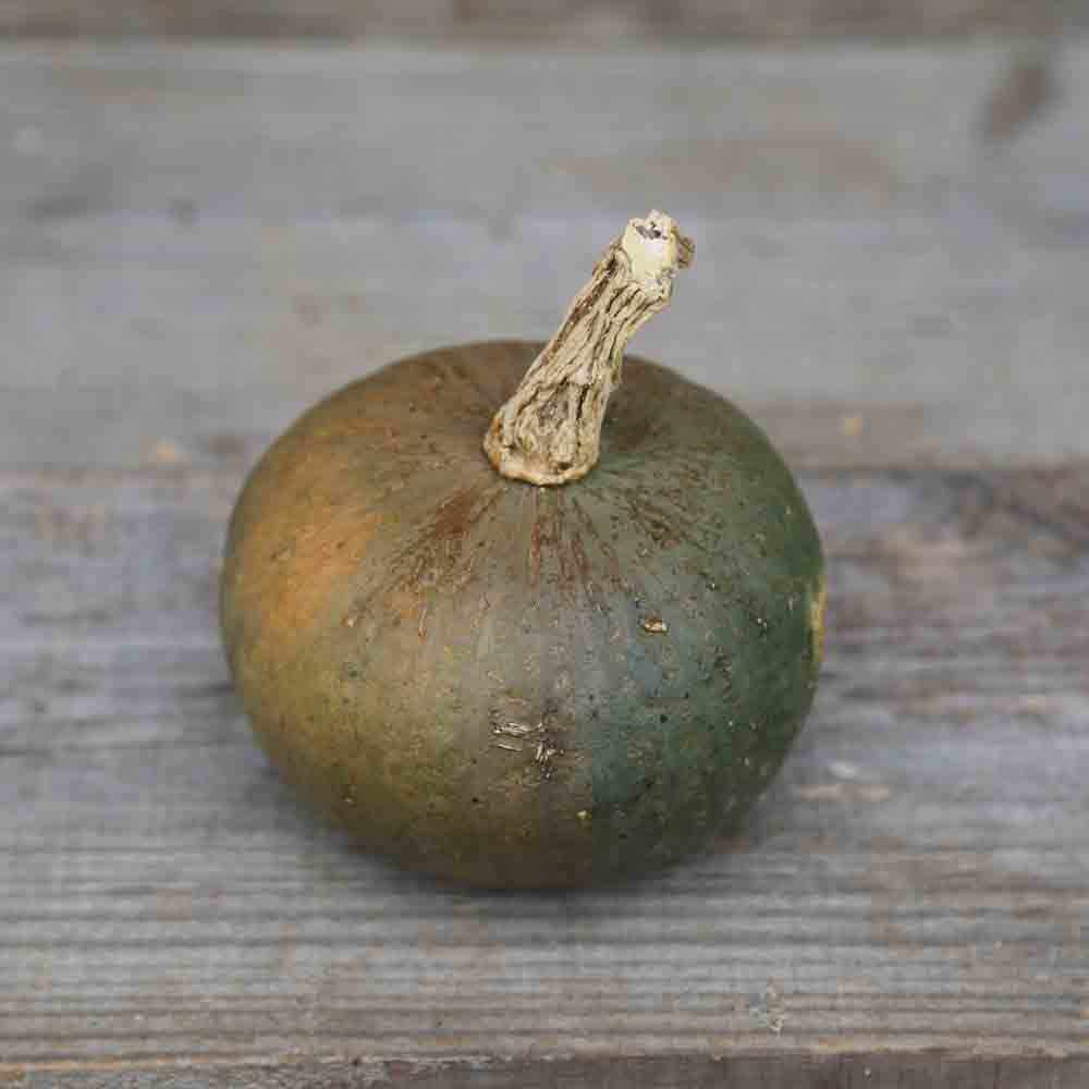 GREEN OLIVE PUMPKIN AB