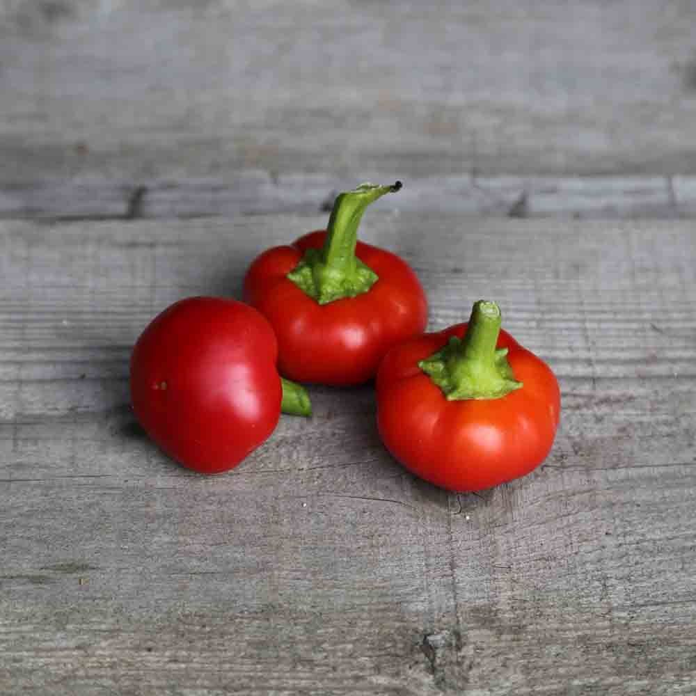 PIMENT RED CHERRY SMALL AB